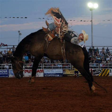 Rodeo Arena Lighting: Safe, Efficient Lighting Solution