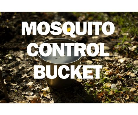 Diy Mosquito Control Bucket A Safe And Effective Way To Reduce