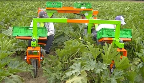 A Versatile Electric Machine For Transplanting And Harvesting Zucchini