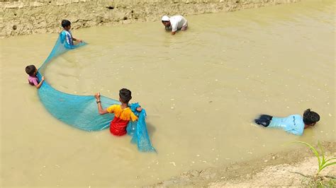 Amazing Net Fishing In Bangladesh Natural Fish Catching Using Net In