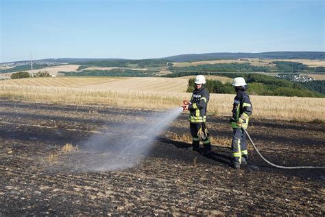 B1 Flächenbrand klein Feuerwehr Pluwig Gusterath