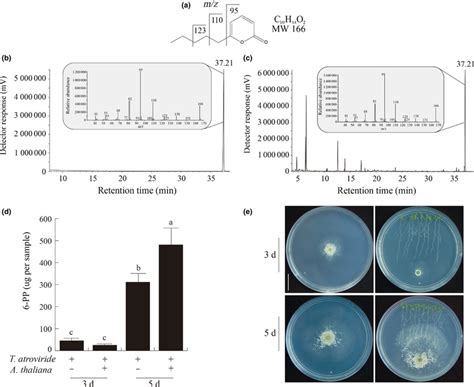 Molecular Characterization And Production Of Pentyl H Pyran One