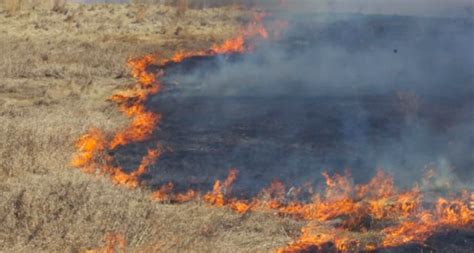 Se Registran Dos Incendios En Predios Del Municipio De Manzanillo