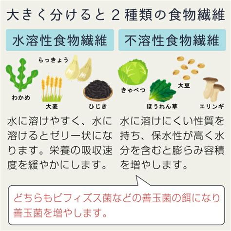 難消化性デキストリン 500g フランス 水溶性 食物繊維 サプリメント Supplement 宅配便専用 超可爱の