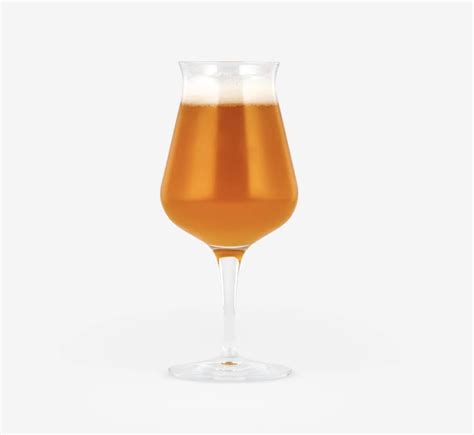 The 8 Best Beer Glasses In 2023 Tested And Reviewed