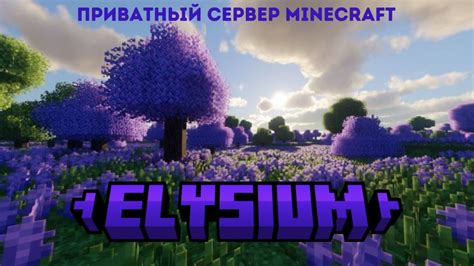 НАБОР НА ПРИВАТНЫЙ СЕРВЕР MINECRAFT ELYSIUM YouTube