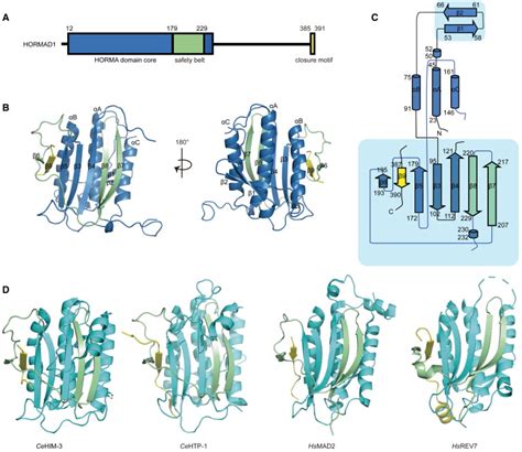 Structural And Biochemical Insights Into The Interaction Mechanism