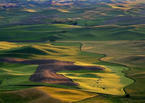 Palouse Shadows Photograph By Michael Dawson Fine Art America