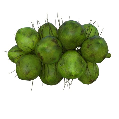 Green Coconuts Isolated 29200458 Png