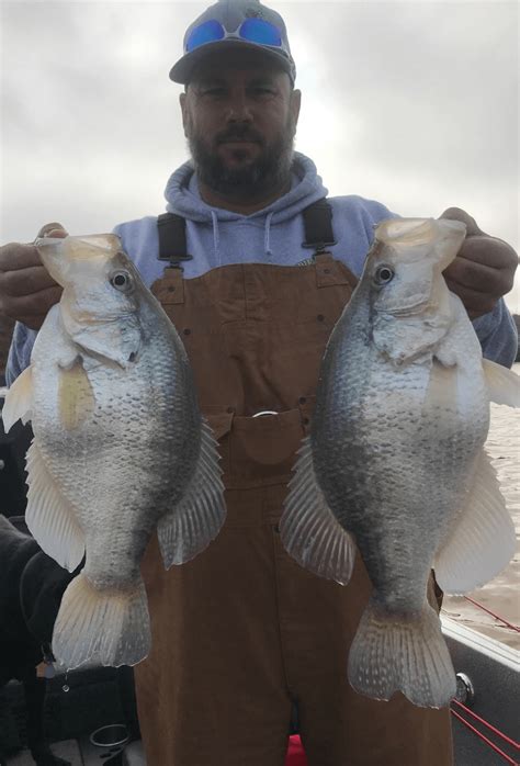 Angler Lands Enormous Crappie In Oklahoma Premier Angler