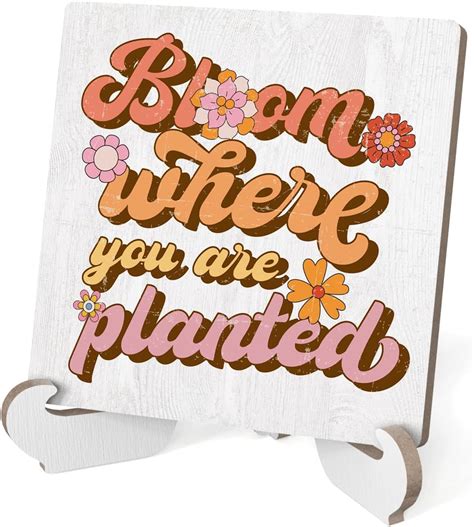 Amazon Funny Spring Decor Cute Bloom Where You Are Planted Wood