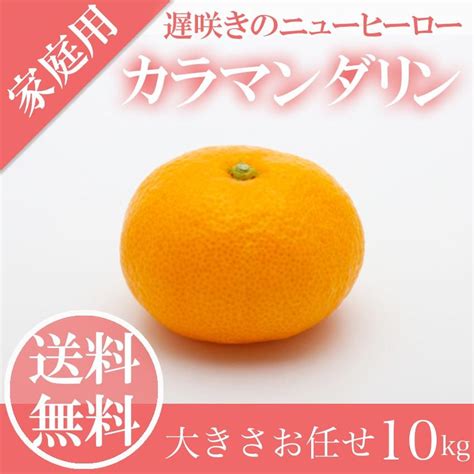 訳あり カラマンダリン 大きさお任せ 10kg ご家庭用 スレ・キズ・ヤケ・酸味強あり とっても甘い みかん愛媛県 中島産