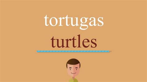 Cómo Se Dice Tortugas En Inglés Youtube