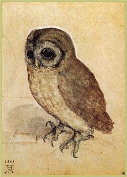 The Little Owl, 1506 - Albrecht Durer - WikiArt.org