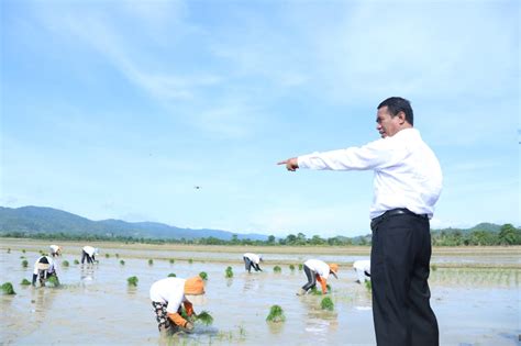 Awal Hujan Mentan Dorong Petani Sultra Percepat Masa Tanam Dan Tidak