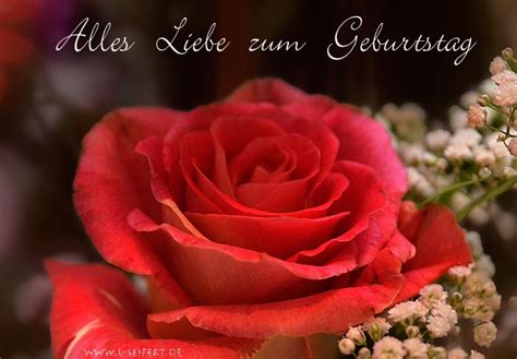 Geburtstagsgrüße Alles Liebe Zum Geburtstag Für Dich Und Eine Rote