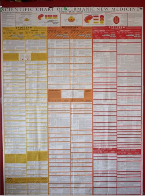 Humble Beginnings. The GNM Scientific Chart. German New Medicine