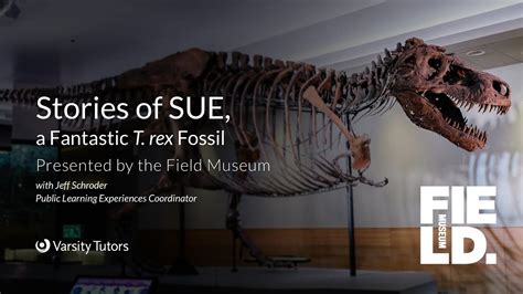 Varsity Tutors StarCourse Stories Of SUE A Fantastic T Rex Fossil