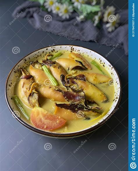 Sotong Masak stock image. Image of dish, chili, homemade - 217047837