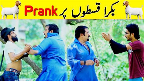 Bakra Qiston Par Best Prank Velle Loog Khan Ali YouTube