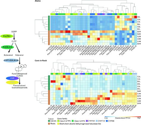 Hierarchical Cluster Analysis Of Select Genes With Known Or Predicted