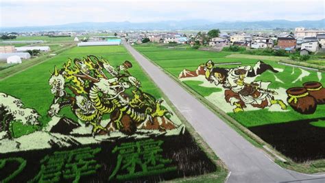 青森・田舎館村の田んぼアート2017が過去最高に精密になった理由 さいとうサポート