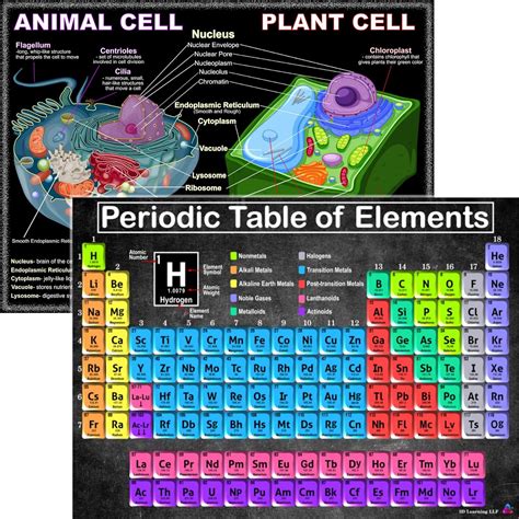 Periodic Table And Cells Science Posters Laminated X