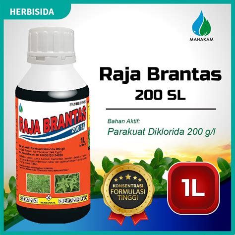 Jual Obat Rumput Herbisida Kontak Raja Brantas Sl Pembasmi Rumput