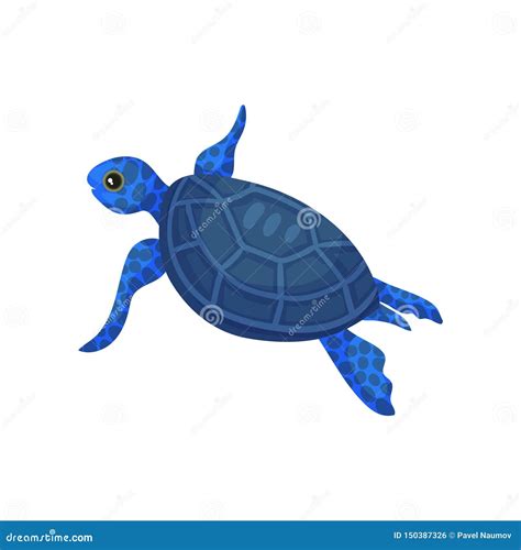 Blue Turtle. View From Above. Vector Illustration On White Background. | CartoonDealer.com ...