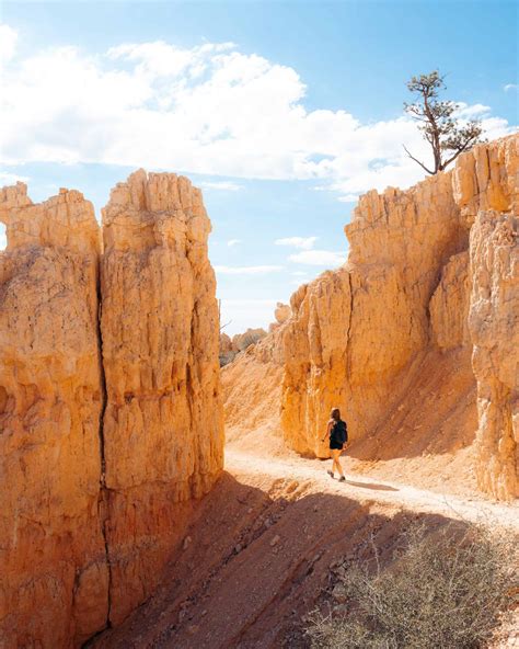 Expert Guide To Hiking Fairyland Loop In Bryce Canyon Karabou Adventures