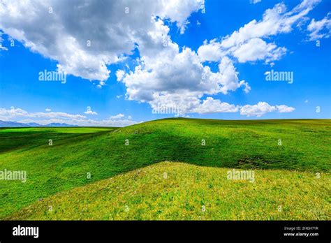 Green Grass Field With Blue Sky Backgroundgreen Grassland Landscape In