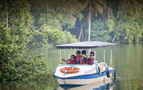 Experience Boating at Ooty Lake With Your Family