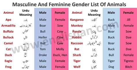 Masculine And Feminine Gender List Of Animals