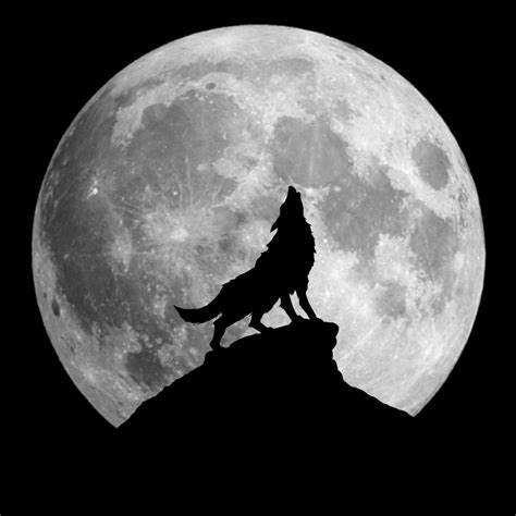 Wolf Moon Wall Art | Photography