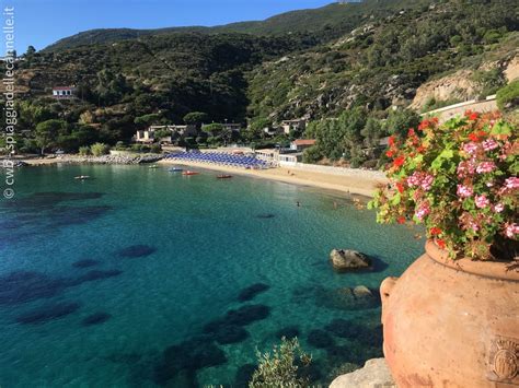 Spiaggia Delle Cannelle Un Posto Al Sole All Isola Del Giglio