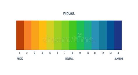 Palette D échelle De Couleurs Pour Le Chimiste Pour L analyse De