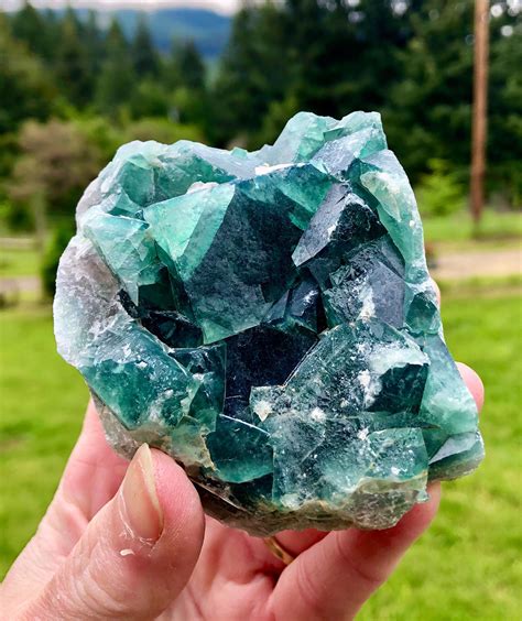 G Green Cubic Fluorite Crystal Cluster Mineral Display Specimen