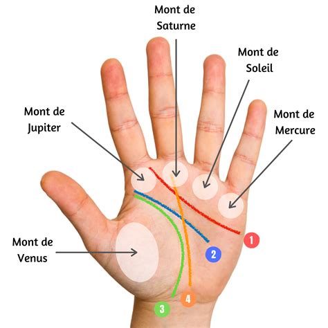 Chiromancie lart de prédire lavenir dans les lignes de la main