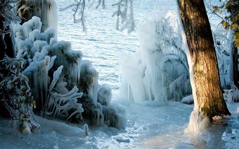 Ice Forest Wallpapers Top Free Ice Forest Backgrounds Wallpaperaccess