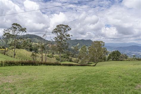 Lotes y Propiedades Promotora Venta de Lotes Parcelación la Selva