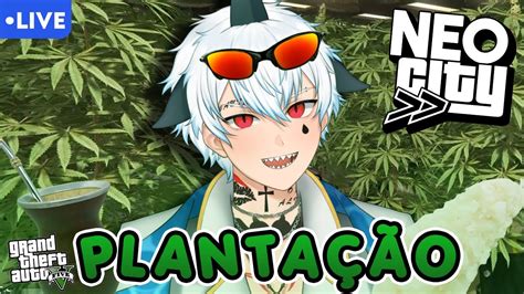 A PLANTAÇÂO GTA RP NEOCITY 05 l 16l YouTube