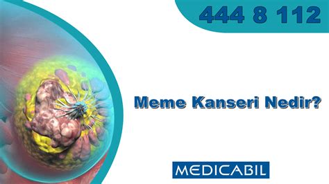 Blog Meme Kanseri Nedir