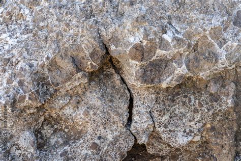 Caliche With Tuff Tuff Is A Type Of Rock Made Of Volcanic Ash Ejected