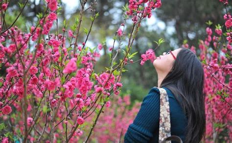 什麼是命里有桃花？什麼是桃花運？「桃花」的真實含義你知多少？ 每日頭條