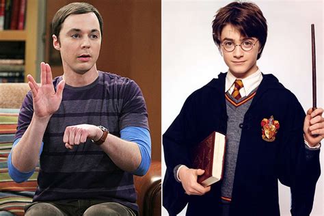 Big Bang Theory Spinoff And New Harry Potter Series In The Works At Max