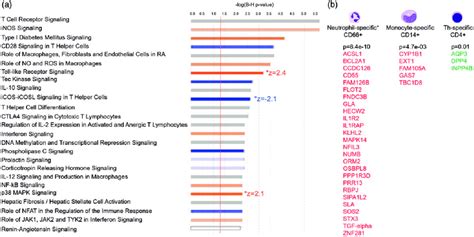 Over Represented Canonical Pathways A Top Pathways And