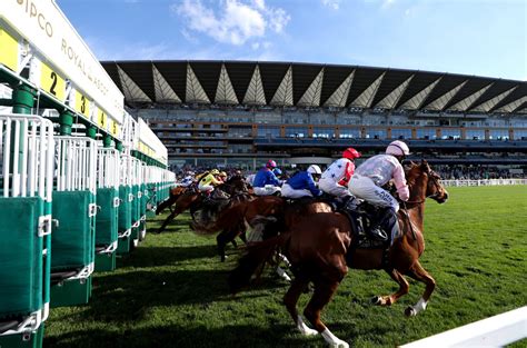 Royal Ascot Races 2024: Ultimate Betting Guide for tips at Royal Ascot