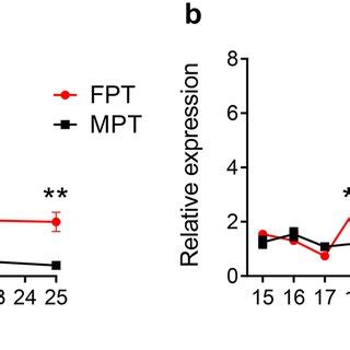 Expressions Of Genes Rarb And Rarg Encoding Ra Receptors In Embryonic