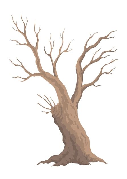 Premium Vector Old Dead Tree Hand Draw Leafless Trunk Winter Or