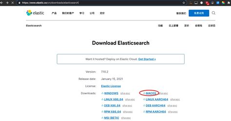 Mac版安装elasticsearch可视化详解 Elasticsearch Mac Csdn博客